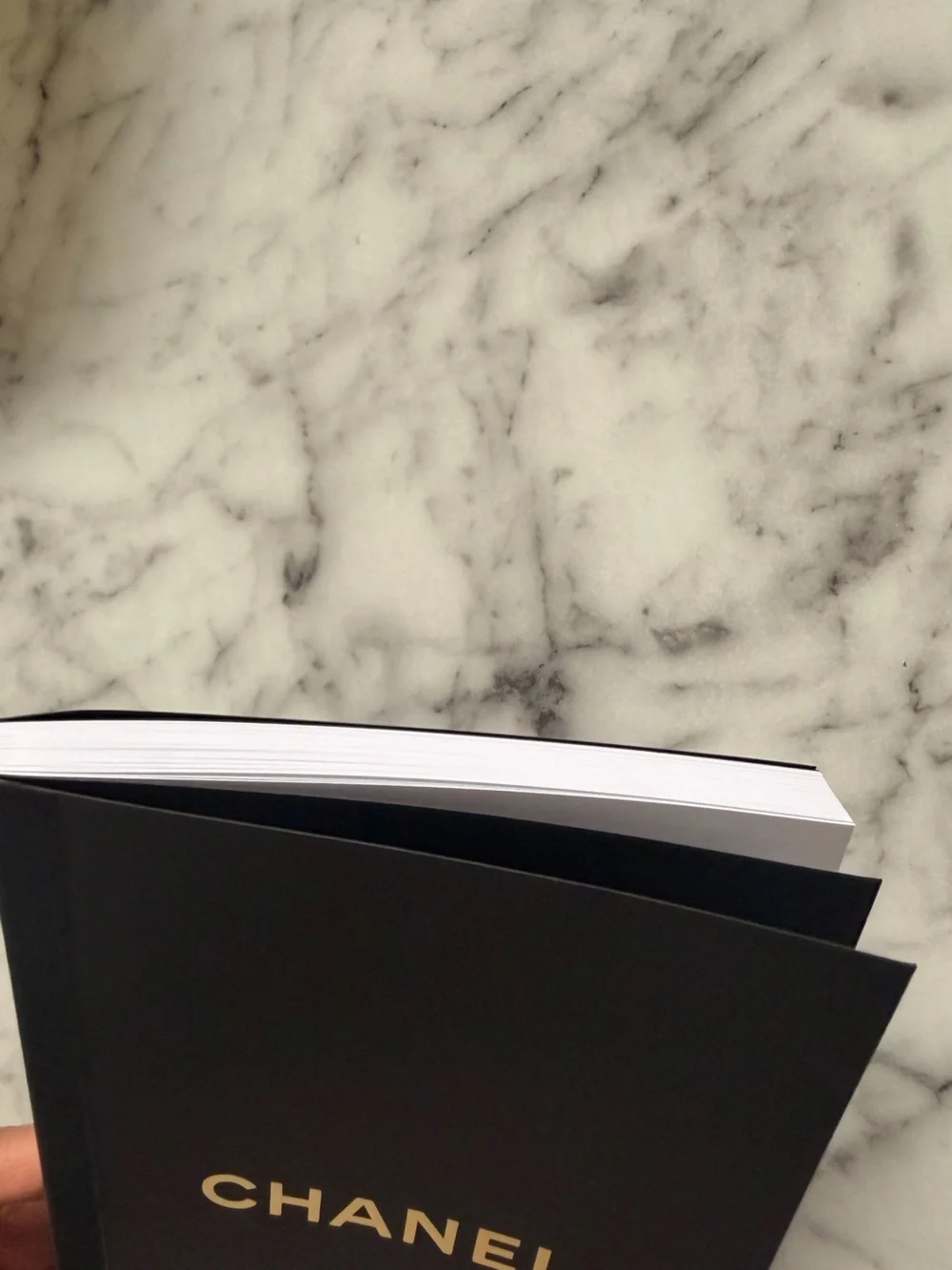 Chanel Notebook Season 26B